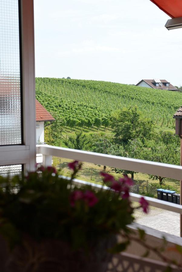 Ferienwohnung Seaview Meersburg Exteriér fotografie